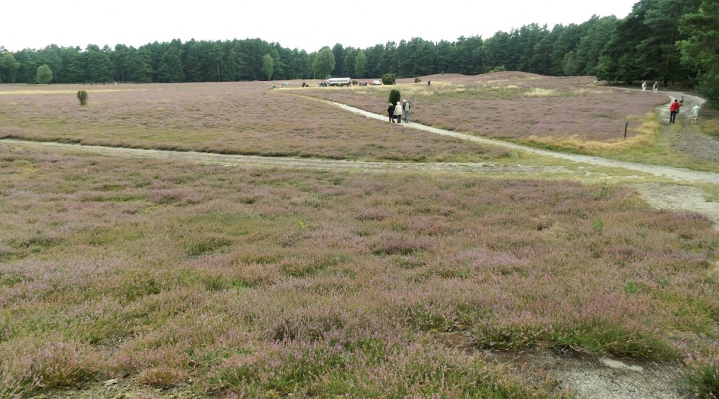 Klein Bünstorfer Heide