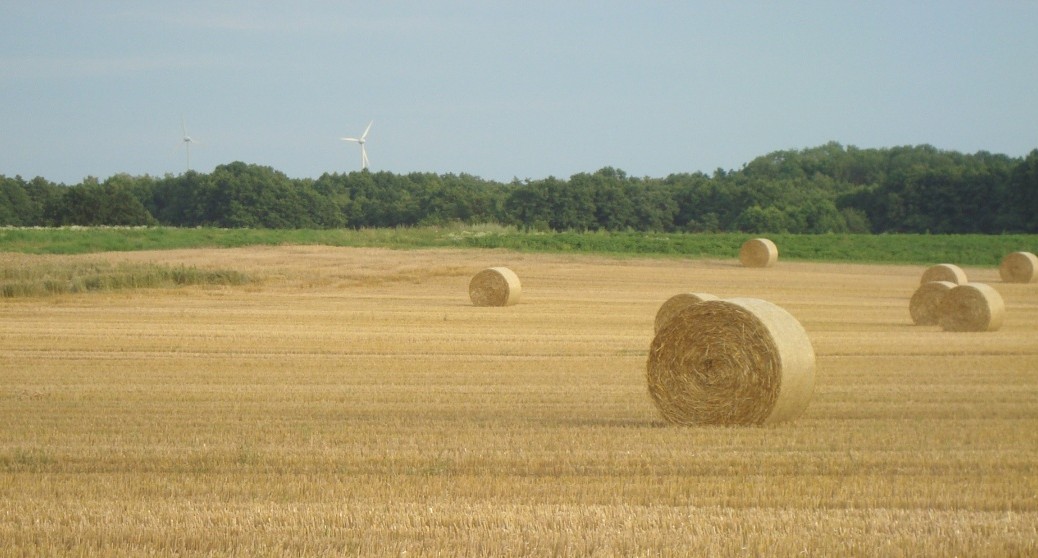 Mein Wendland Reiseportal