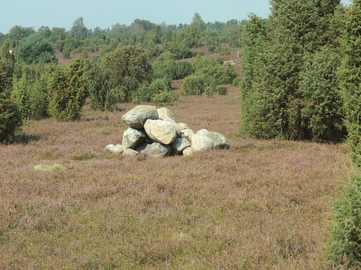 Findlinge in der Ellerndorfer Wacholderheide
