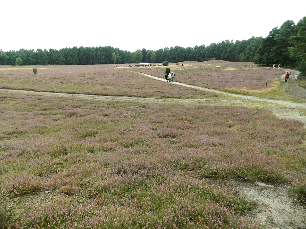 Klein Künstorfer Heide