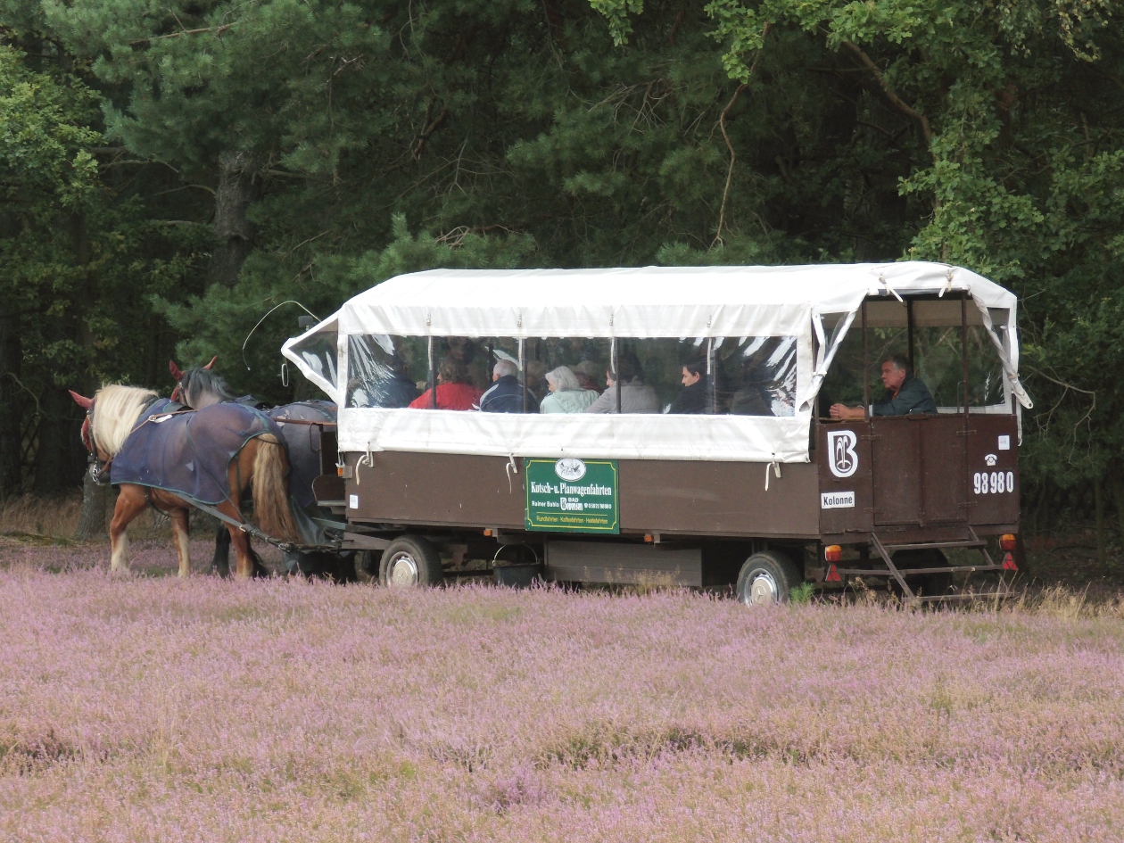 Klein Künstorfer Heide